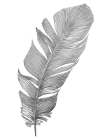 Pluma decorativa